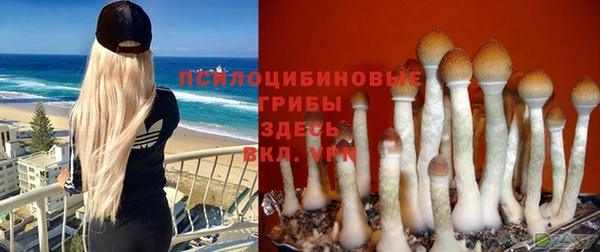 spice Алексин